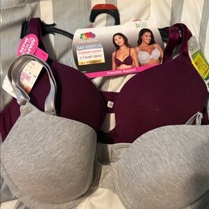 Fruit of the Loom Comfort Cotton Bras - Maroon and Light Gray